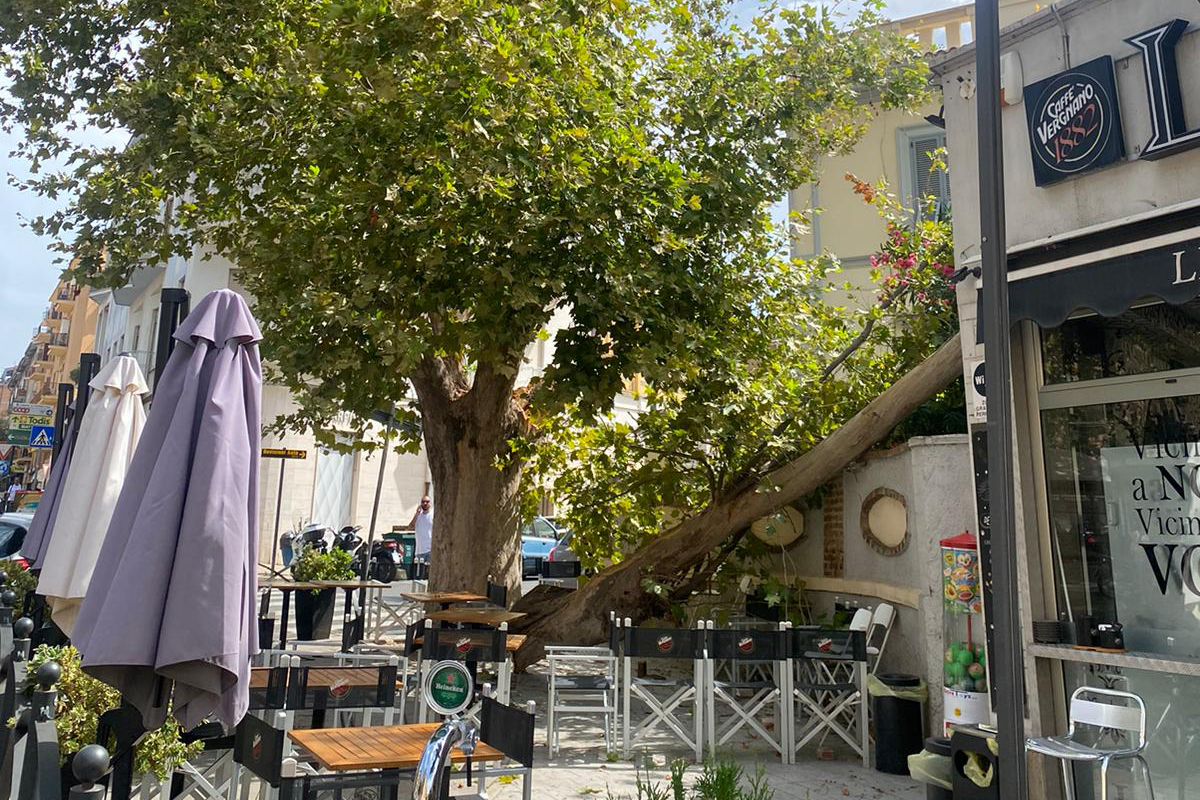 Civitavecchia – Fratelli d’Italia: “Sul verde pubblico la sinistra ha fallito, i cittadini vedono i risultati”