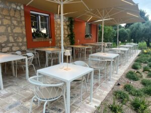 Tarquinia – Dalla natura alla tavola: inaugurato il Piani degli Alpaca Bistrot (FOTO)