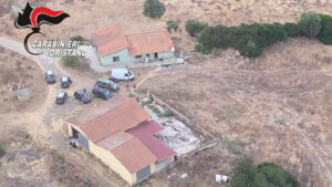 Carabinieri scoprono una piantagione di marijuana a Oristano,8 arresti