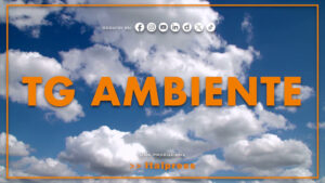 Tg Ambiente – 31/8/2025