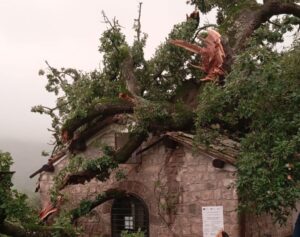 Montefiascone – Ceccarelli (FdI): “Santa Maria della Valle abbandonata al degrado, serve un intervento immediato”