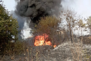 Bassano Romano, fiamme vicine alle abitazioni: intervento decisivo di vigili del fuoco e protezione civile (FOTO)