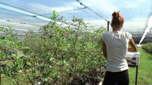 A settembre 44mila assunzioni nel settore primario