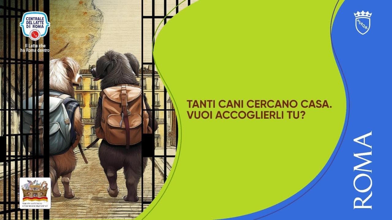 Roma: al via campagna “Adotta un cane”, Qr code su confezioni latte della centrale