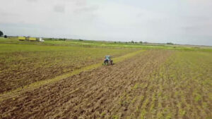 L’Italia rafforza i partenariati agricoli