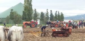 A Vitorchiano la Festa dell’Aratura, menù del contadino in degustazione