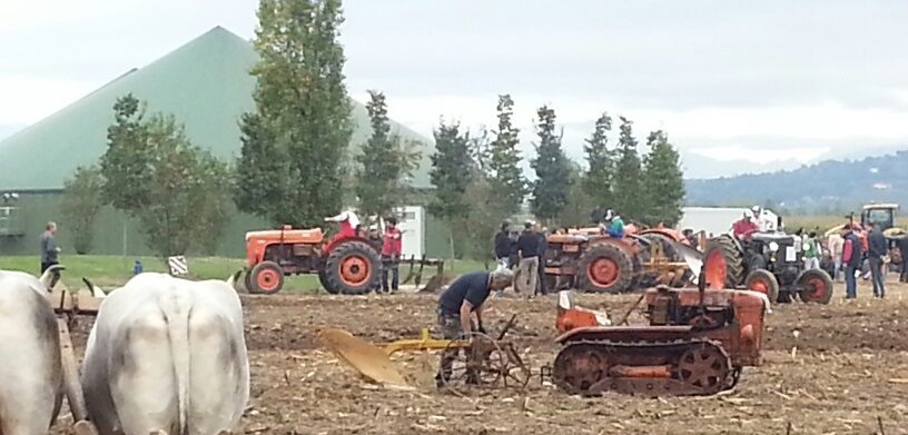 A Vitorchiano la Festa dell’Aratura, menù del contadino in degustazione