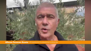 Pecoraro “Governo e Parlamento diano priorità a giovani e innovazione”