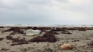 Boom di reati ambientali lungo le coste italiane