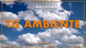 Tg Ambiente – 7/9/2025