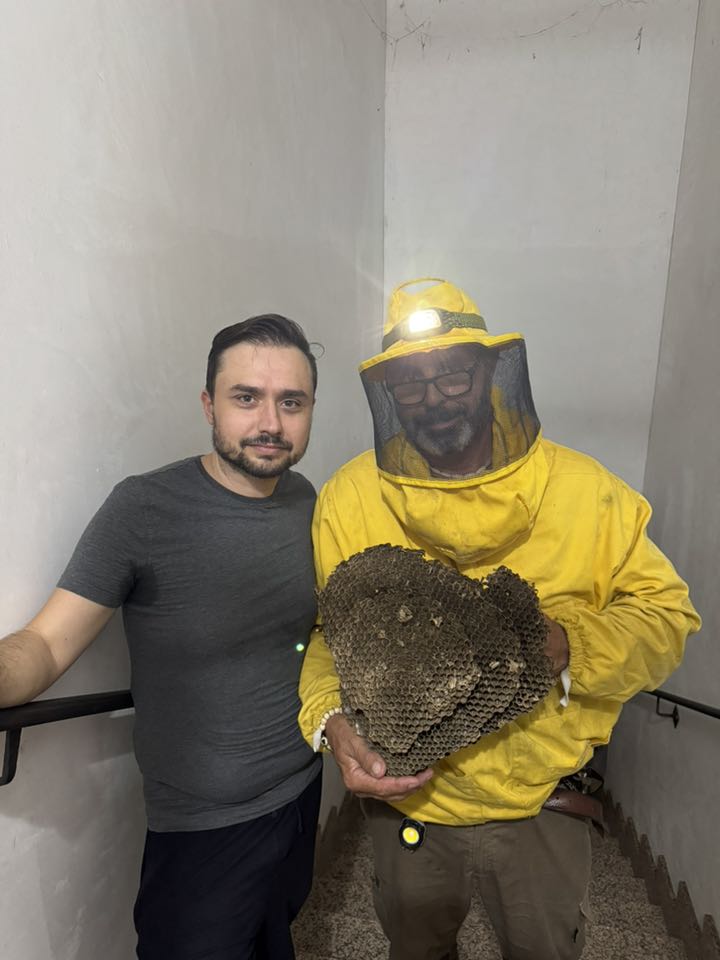 Fonte Nuova, l’etologo Andrea Lunerti mette in sicurezza nido record di vespe, con oltre 1000 insetti di cui 200 regine