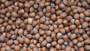 Crolla il raccolto delle nocciole, rincari record