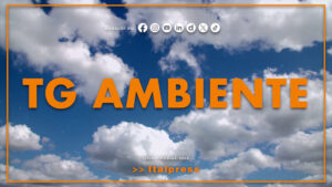 Tg Ambiente – 14/9/2025