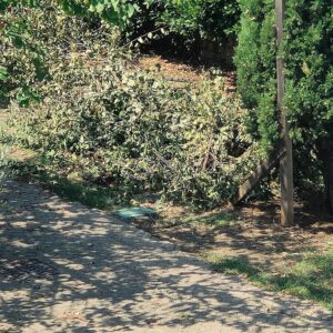 Civitavecchia – Parco Baden Power in stato di abbandono: “Mettete le telecamere”