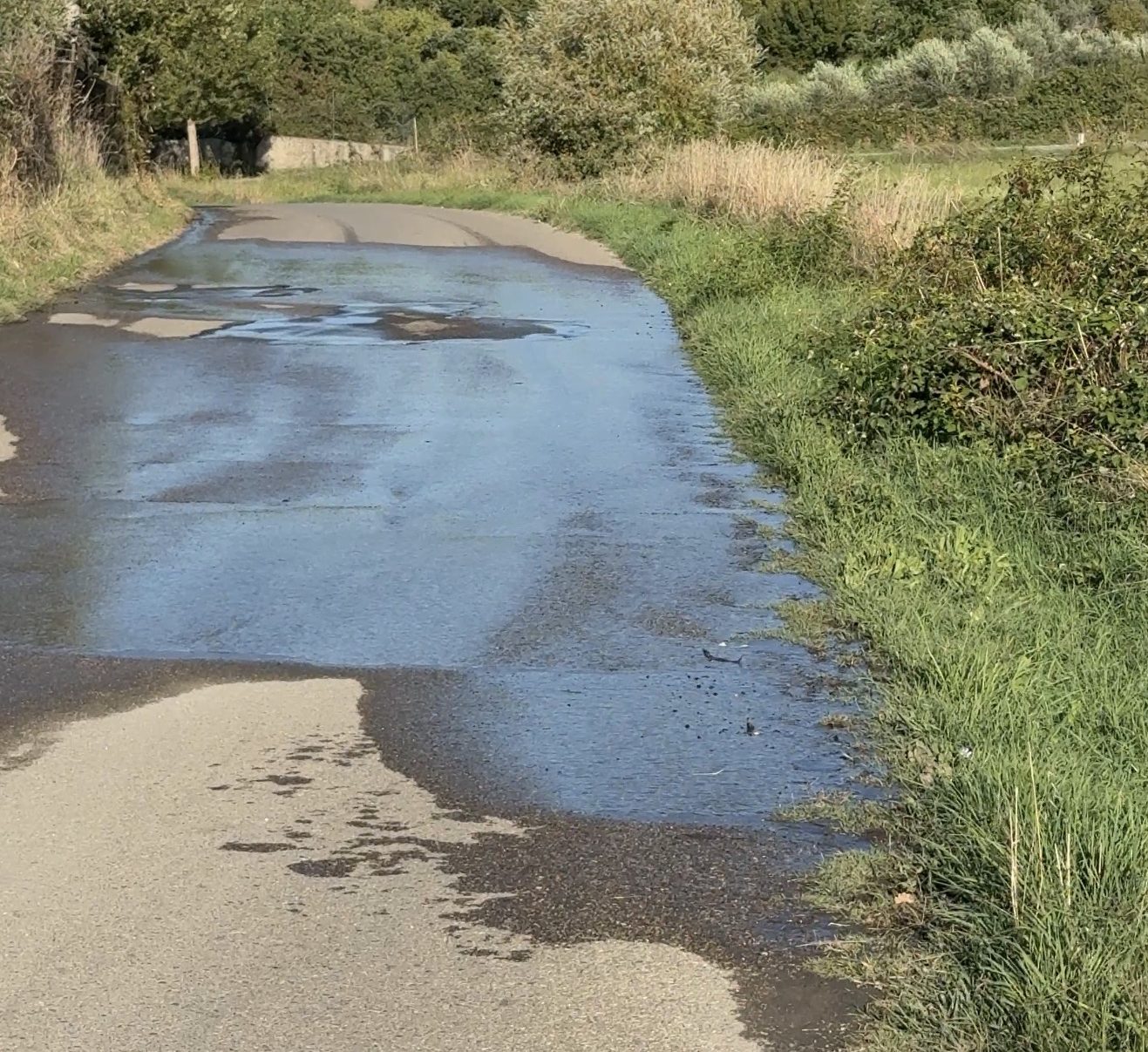 Grave perdita d’acqua a Vitorchiano, Fare Verde chiede intervento urgente