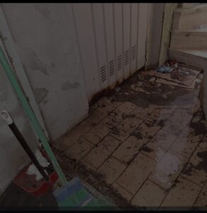 Civitavecchia, case Ater senz’acqua e con le stanze autoclave invase dai topi