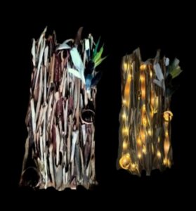 “Nell’Anima e nella Natura”, taglio del nastro per la personale di Alessandra Palieri ad Allumiere