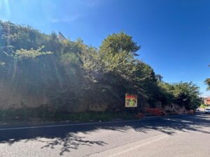 Viterbo – Muro pericolante in via della Pila, anche il PD alza la voce: “Troppa leggerezza e immobilismo, Comune deve agire”