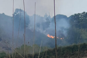 Canale Monterano – In fiamme un boschetto a ridosso delle Terme di Stigliano