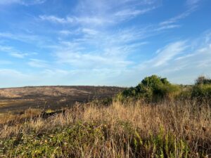 Tarquinia – Vasto incendio tra Pantano e Sant’Agostino, quasi una notte intera per domare le fiamme (FOTO)