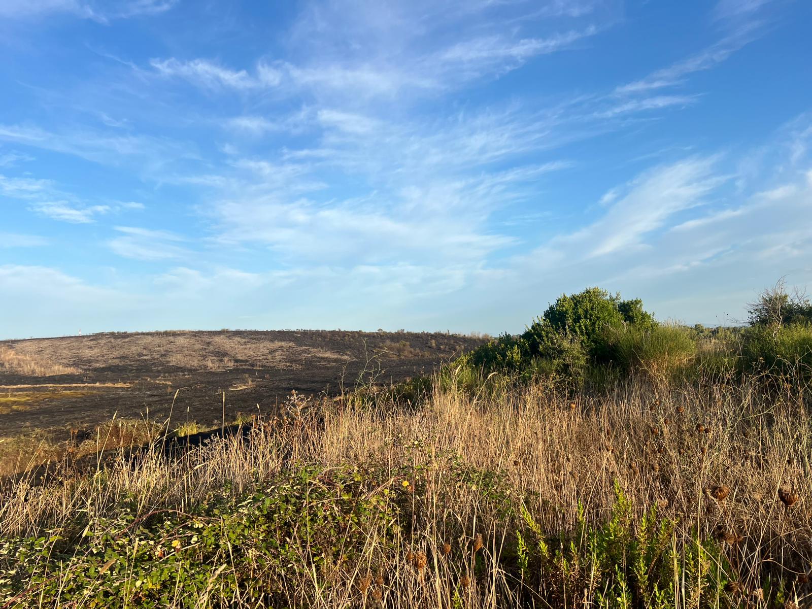 Tarquinia – Vasto incendio tra Pantano e Sant’Agostino, quasi una notte intera per domare le fiamme (FOTO)