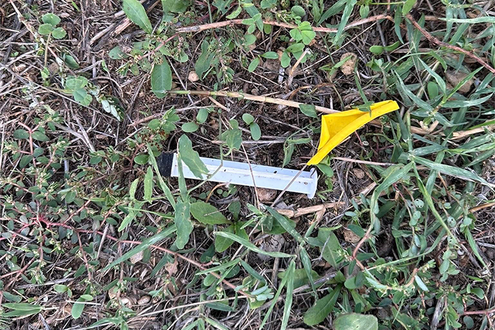 Civitavecchia – Degrado al parchetto di San Liborio: siringhe e sporcizia allontanano famiglie e residenti (FOTO)