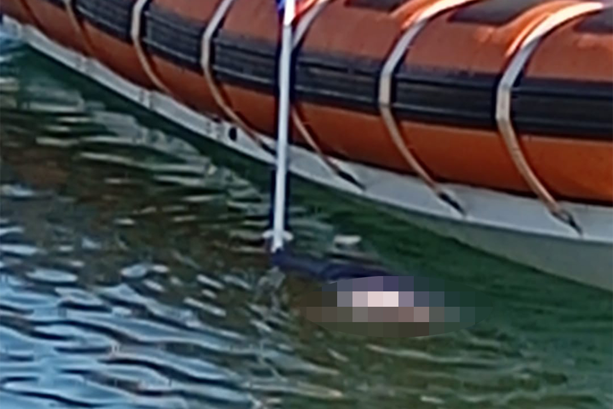 Civitavecchia – Cadavere alla banchina 10 del porto, la vittima è un 45enne di origini sarde (FOTO)