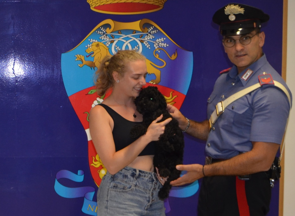Rieti – Barboncino smarrito salvato dai Carabinieri lungo la via Salaria