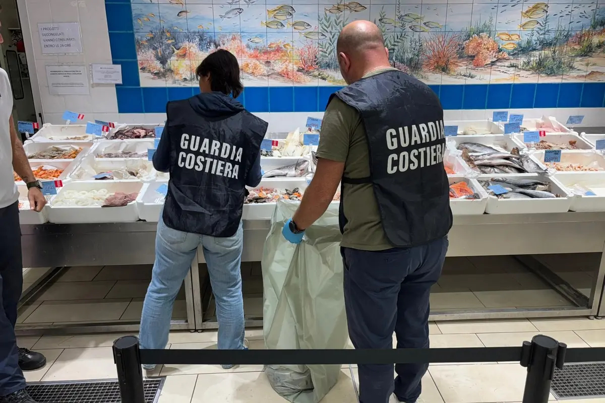 Ladispoli – Controlli alimentari: sequestrati oltre 185 chili di prodotti ittici