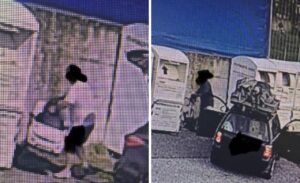 Fabrica di Roma – Rifiuti, acciuffati altri incivili: “Continueremo a vigilare e sanzionare”