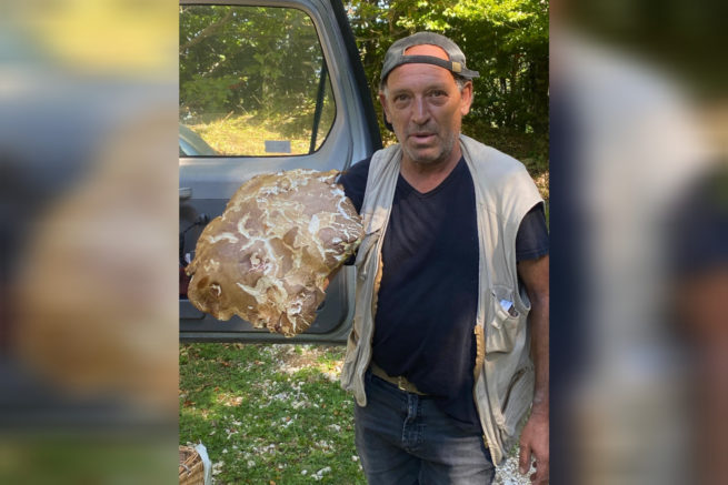 Rieti – Terminillo, trovato un porcino da record: quasi 3 chili di peso