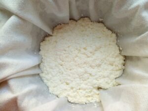 Lazio, Righini: “Nessun sostegno all’uso di latte congelato, tuteliamo la produzione delle eccellenze”: