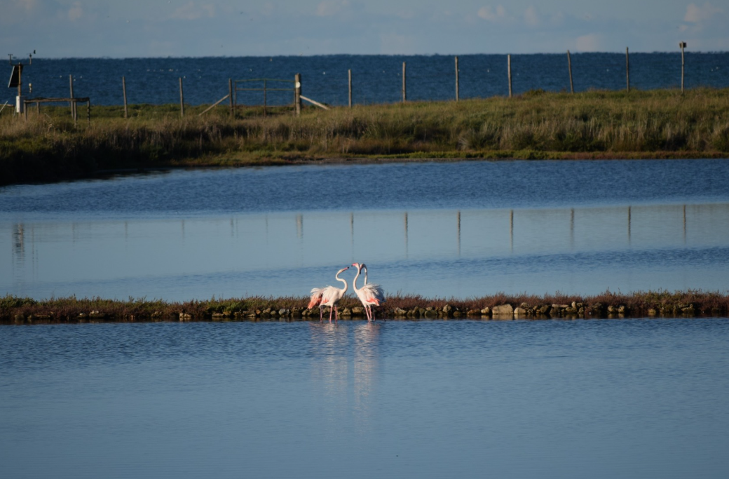 Difesa della costa, in arrivo oltre 7 milioni per Tarquinia e Pescia Romana