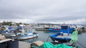 Sulla rotta del mare: Santa Marinella tra storia, arte e sapori