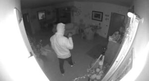 Viterbo – Entra in casa nonostante l’allarme, ancora furti in città