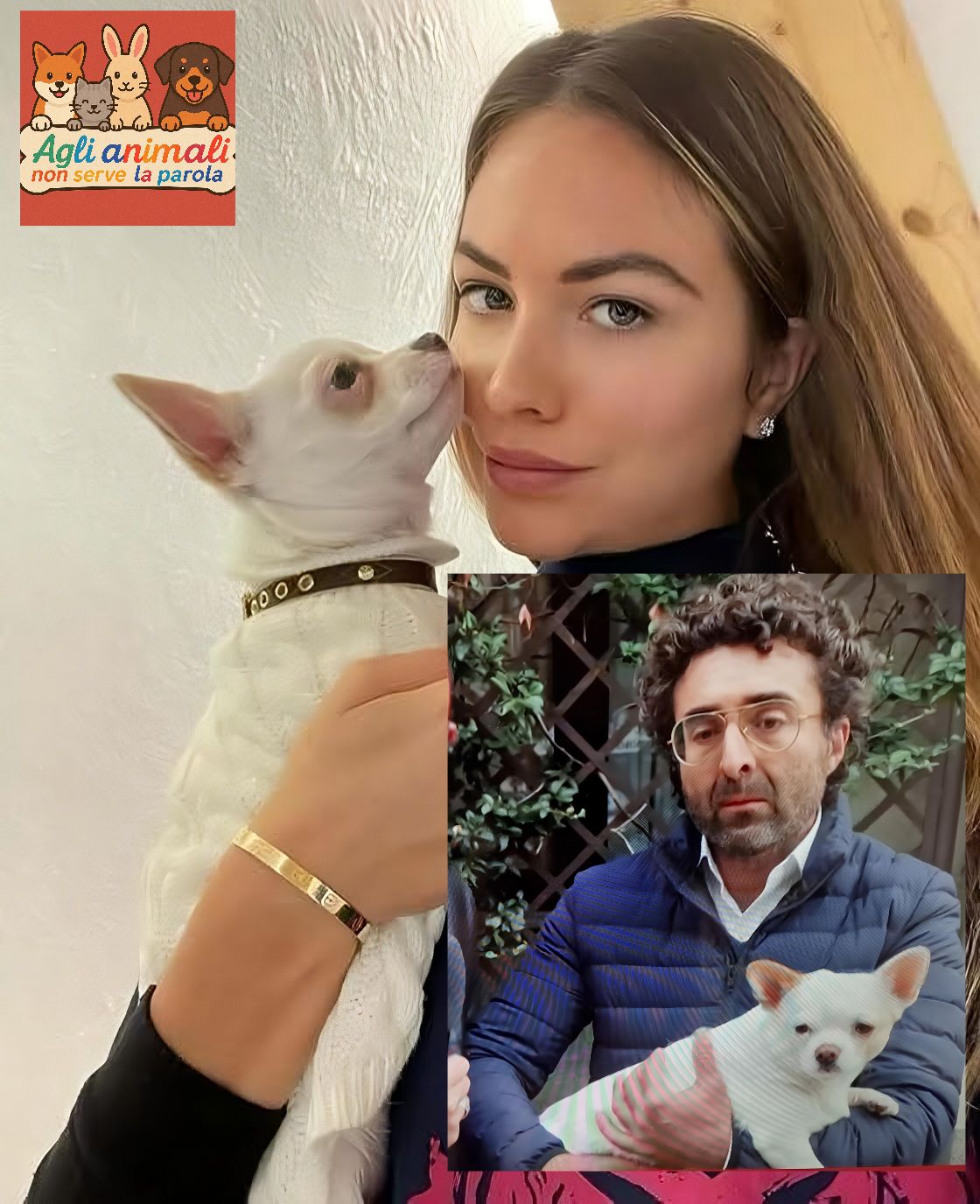 Appello delle associazioni animaliste all’ex di Pamela Genini: “Restituisci la cagnolina Bianca ai familiari”