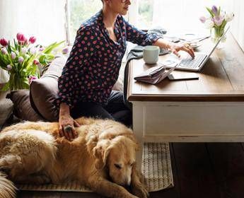 Tumulazione animali domestici vicino ai padroni,  Enpa Viterbo: “Soriano nel Cimino sia d’esempio per gli altri Comuni”