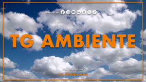 Tg Ambiente – 12/10/2025