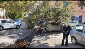 Roma – Albero cade su auto in via dei Romagnoli, illesi i due a bordo