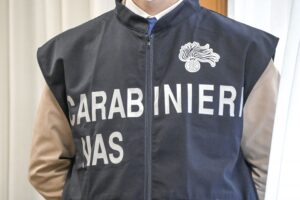 Frosinone: controlli Nas, sanzioni per oltre 5 mila euro, sospesa cantina vinicola