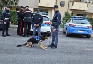 Cassino e Sora interessate da imponenti servizi di controlli stradali