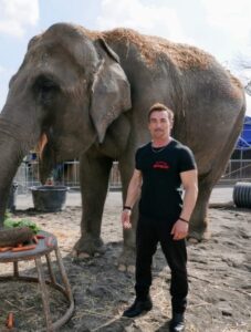 Sentenza del Consiglio di stato dà ragione a Circo Madagascar: ” Sì ad esibizione unico elefante”