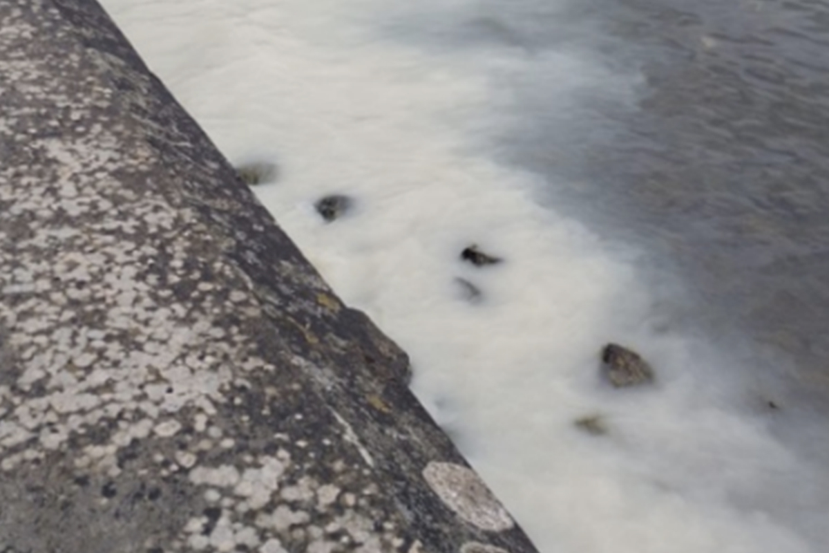 Marta – Sversamento sospetto al lago di Bolsena: “Sostanza biancastra introdotta di notte”