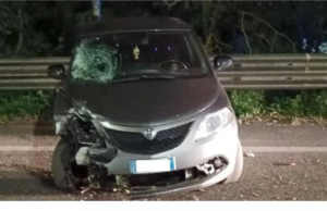 Roma, caccia al pirata della strada che ha travolto e ucciso Stefano Bruzzesi ed è fuggito
