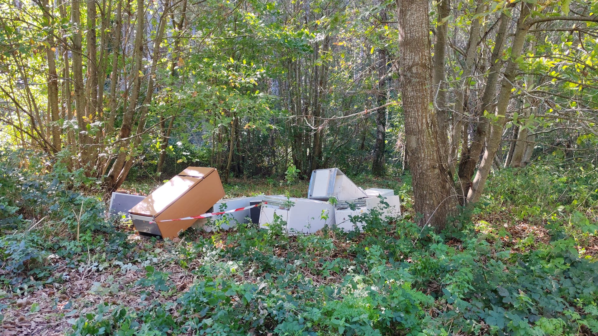 Viterbo – Frigoriferi e rifiuti abbandonati sui Cimini, orrore ecologico tra le passeggiate