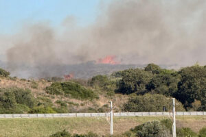 Santa Marinella – Vasto incendio a ridosso dell’autostrada, Vigili del fuoco sul posto (FOTO)