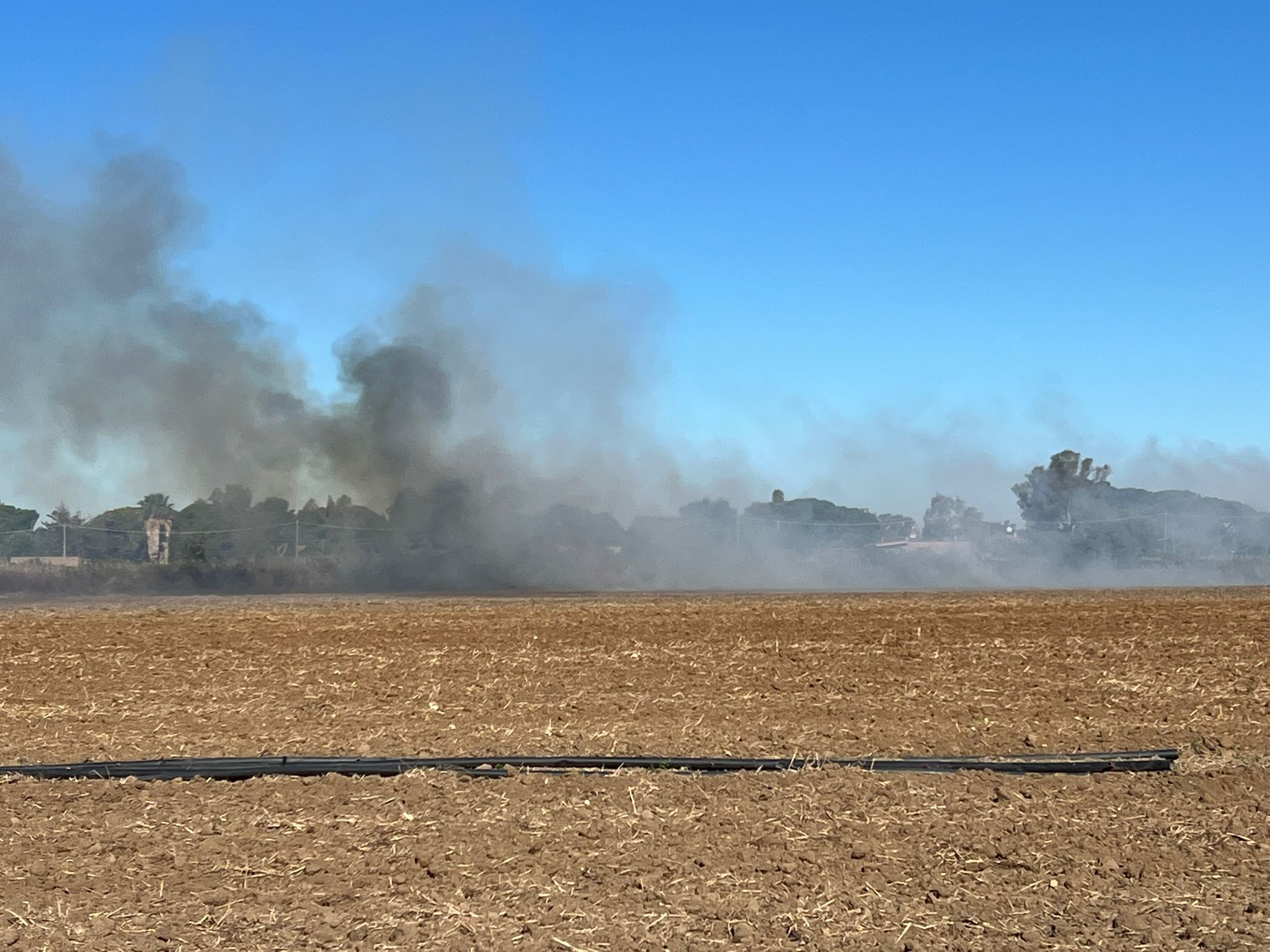 Tarquinia – Incendio a San Giorgio, fiamme alte 3 metri (FOTO)