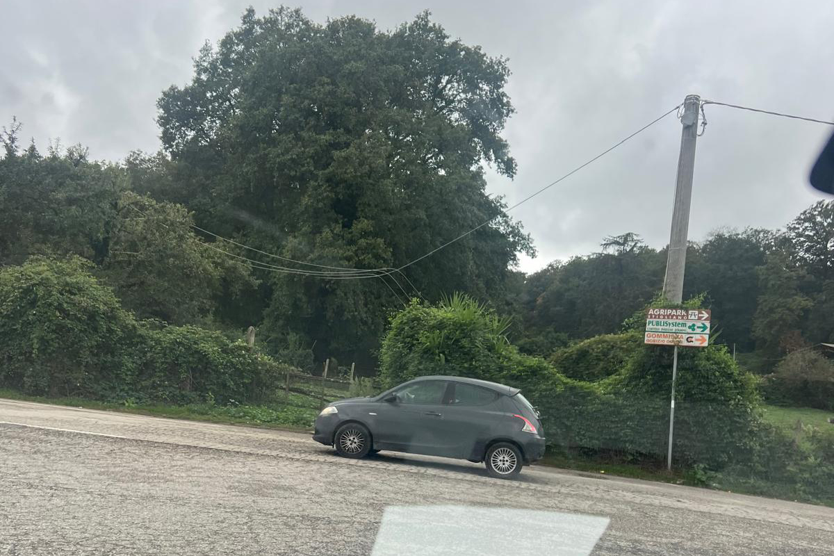 Manziana – Palo dell’elettricità cade a ridosso della strada (FOTO)