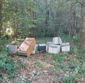 Viterbo – Rifiuti abbandonati a Valle Gelata: la situazione peggiora (e nessuno interviene) FOTO