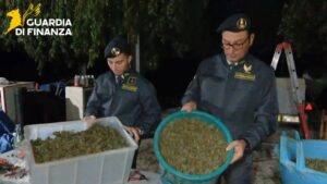 Scoperta “fabbrica della droga” a Napoli, sequestrata una tonnellata di cannabis